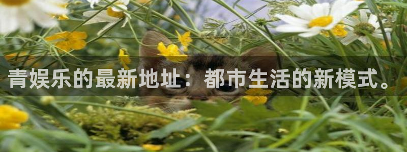 韦德1946娱乐手机版：青娱乐的最新地址：都市生活的新模式。