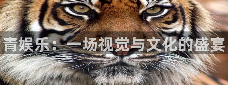 韦德1946安卓二维码：青娱乐：一场视觉与文化的盛宴