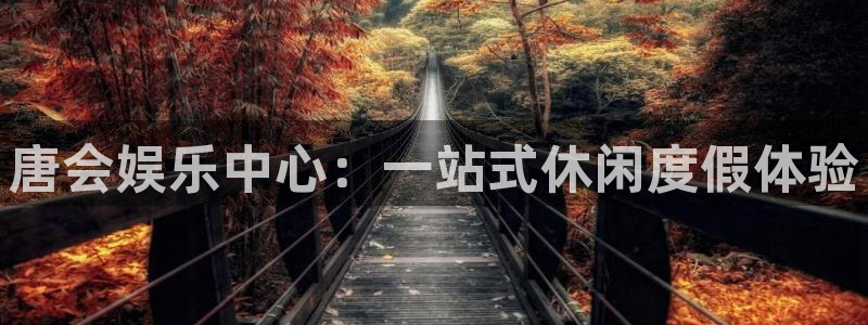 韦德1946娱乐手机版：唐会娱乐中心：一站式休闲度假体验