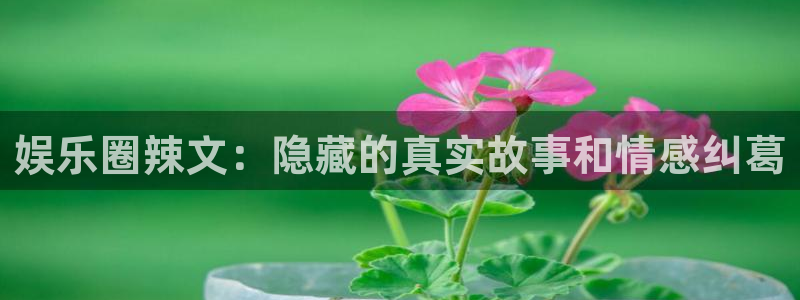 韦德1946：娱乐圈辣文：隐藏的真实故事和情感纠葛