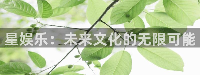 韦德1946娱乐手机版：星娱乐：未来文化的无限可能