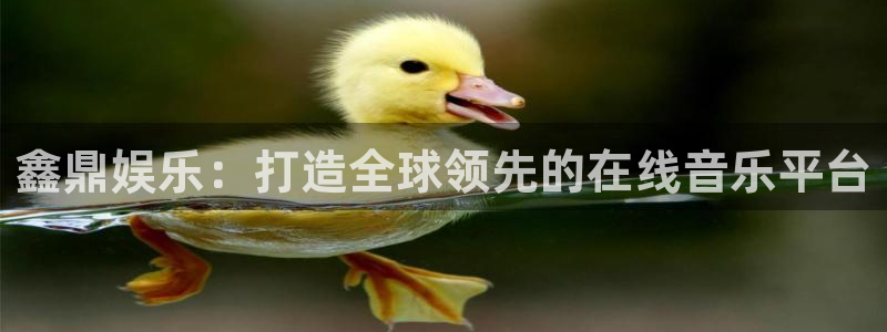 韦德1946官网：鑫鼎娱乐：打造全球领先的在线音乐平台