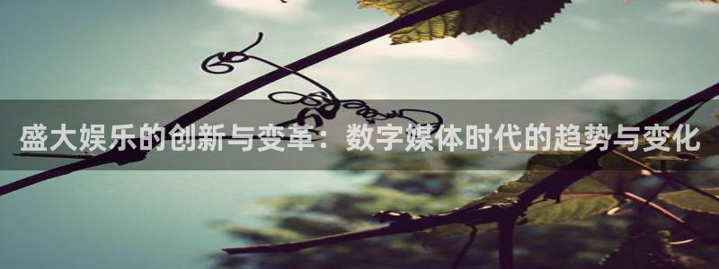 韦德1946源于英国：盛大娱乐的创新与变革：数字媒体时代的趋势与变化